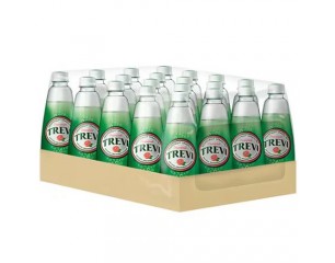 트레비 300ml 자몽 (박스)