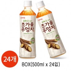 [롯데]초가을 우엉차 500ml (박스)